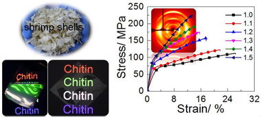 高強(qiáng)度透明甲殼素膜制備取得突破