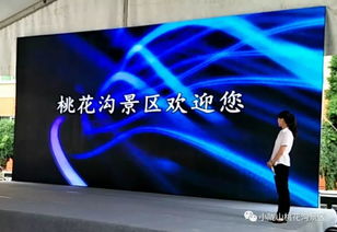 桃花溝景區(qū)應(yīng)邀參加2018陜甘川景區(qū)旅行社旅游產(chǎn)品采購?fù)平闀⑷〉脠A滿成功